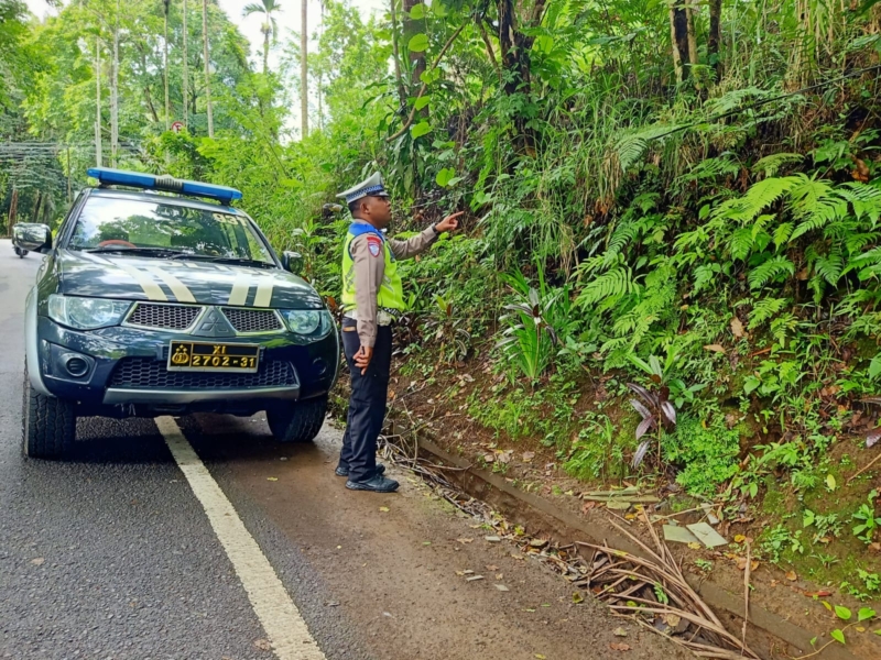 Antisipasi Bencana Alam, Polsek Tampaksiring Laksanakan Patroli Daerah Rawan Longsor dan Pohon Tumbang