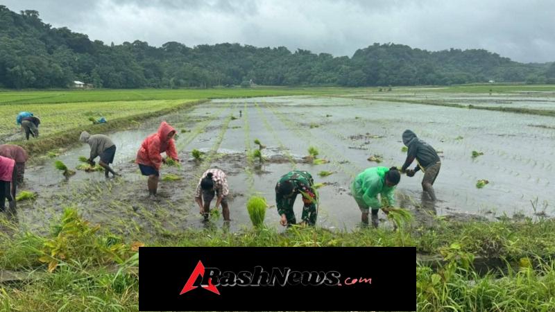 Babinsa Kodim 1601/Sumba Timur Aktif Dukung Ketahanan Pangan di Lewa Tidahu