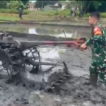 Sinergi Babinsa dan Masyarakat dalam Pengolahan Sawah Tadah Hujan