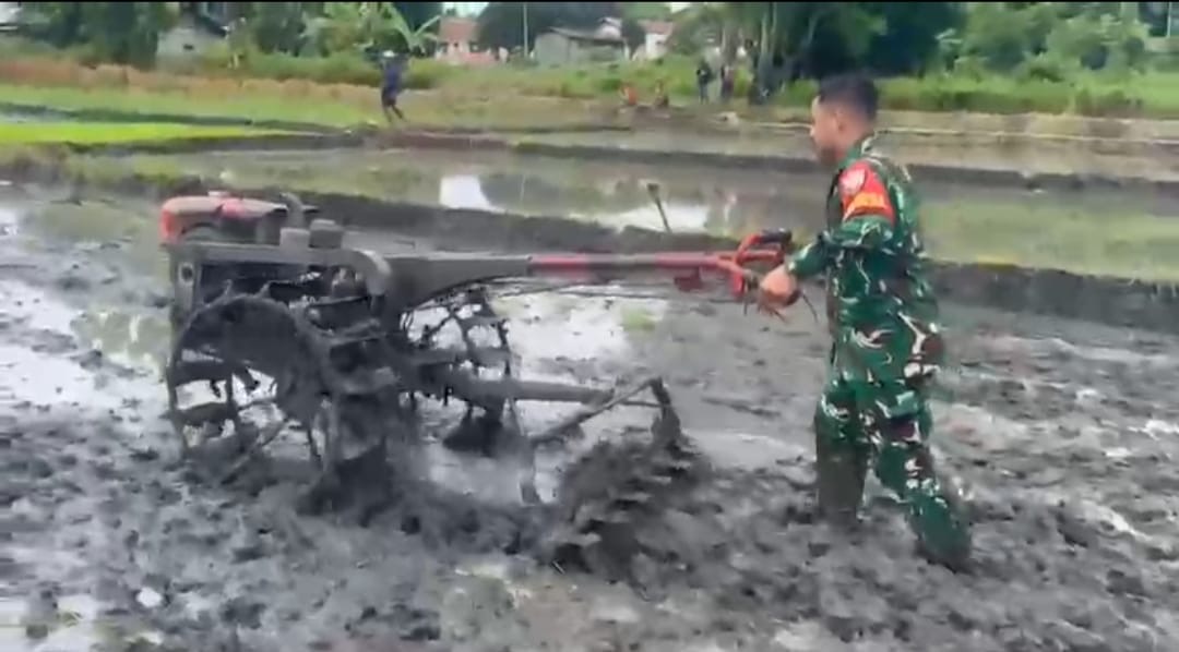 Sinergi Babinsa dan Masyarakat dalam Pengolahan Sawah Tadah Hujan