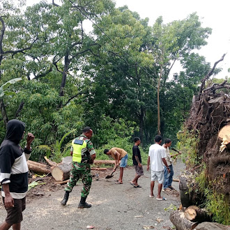 Pererat Kemanunggalan TNI-Rakyat, Babinsa Ende Bantu Warga di Desa Wolokaro