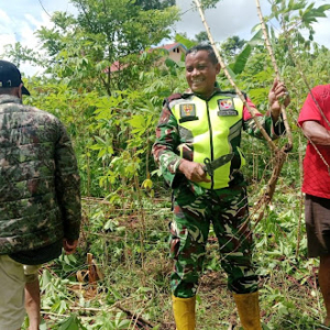 Babinsa Koramil 1612-01/Ruteng Hadiri Bakti Pembersihan Lokasi Pembangunan KDKMP Desa Nenu
