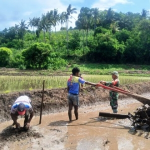 Komsos Hanpangan, Babinsa Perkuat Sinergi dengan Petani Desa Harona Kalla