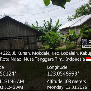 Babinsa Koramil 1627-01/Ba’a Monitoring Kesiapan Pembangunan KDMP di Desa Suebela