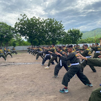 Latihan PSM Serentak, Yonif TP 834/Wakanga Mere Siapkan Prajurit Tangguh