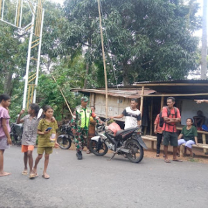 Ciptakan Wilayah Kondusif, Babinsa Koramil Maurole Aktif Dampingi Warga Panen Jagung