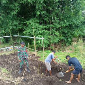 Babinsa Koramil 1627-01/Ba’a Laksanakan Pembersihan Awal Lokasi KDKMP