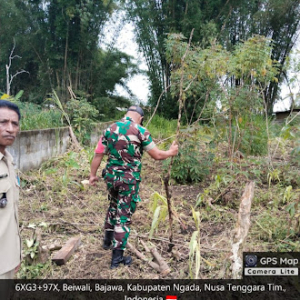Babinsa Bajawa Hadir dalam Pengecekan Aset Tanah untuk Koperasi Merah Putih