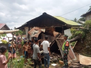 Babinsa Koordinasi dengan Lurah dan BPBD Tangani Dampak Pohon Tumbang di Rewarangga