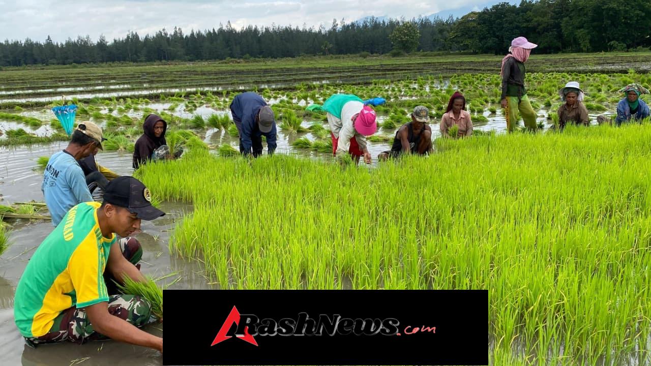 Yonarmed 12 Kostrad Pererat Kebersamaan Lewat Tanam Padi