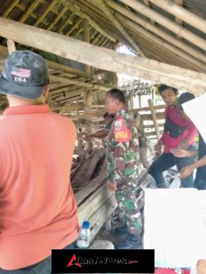 Pendampingan Babinsa, Hewan Ternak di Desa Rempe Mendapat Vaksinasi