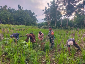 Komsos dan Bakti Babinsa di Piring Sina Berjalan Aman dan Tertib