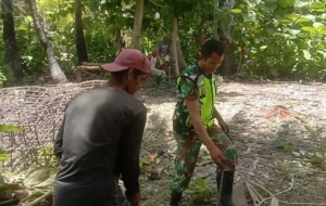Babinsa Dampingi Tahap Awal Struktur KDKMP di Desa Oeleka