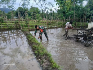 Dukung Ketahanan Pangan, Babinsa Bantu Petani Perbaiki Pematang Sawah di Sumba Timur