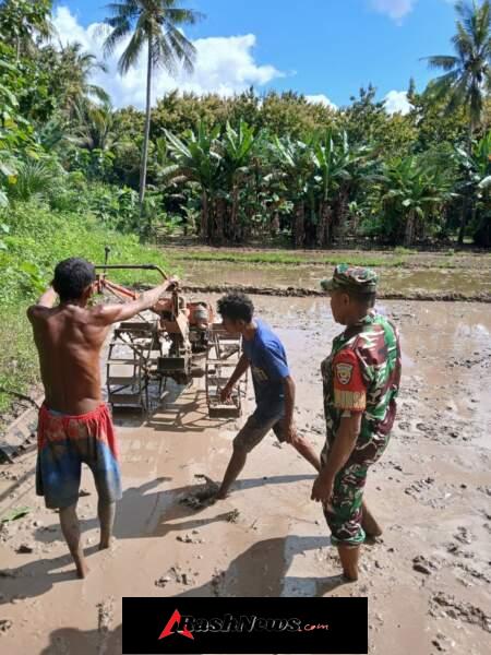 Pengabdian Tanpa Batas, Babinsa Hadir di Tengah Petani Kefamenanu