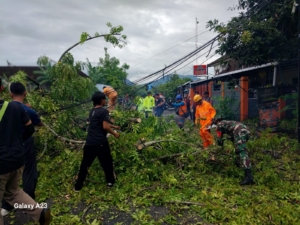 Akses Jalan Terhambat, Babinsa Dauhwaru Percepat Evakuasi Pohon Santan yang Timpa Kabel PLN