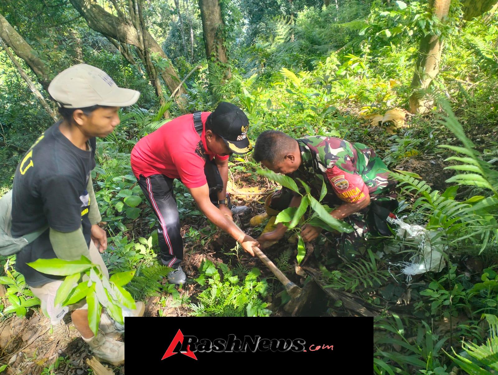 Sinergi TNI, Polri, dan Masyarakat Hijaukan Kawasan Hutan Desa Panji