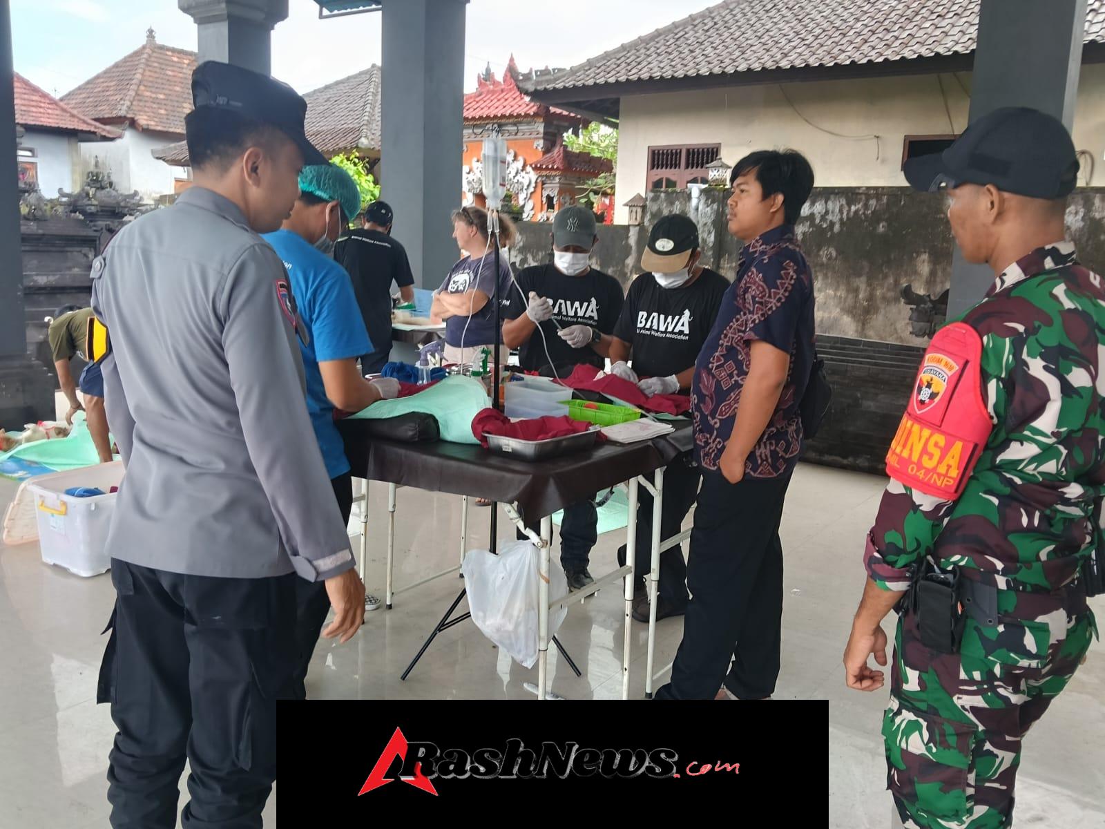 Gelar Vaksinasi, Steril, Kebiri Dan Vitamin Gratis Anjing Dan Kucing, Babinsa Sakti Tegaskan Langkah Efektif Wujudkan Wilayah Aman Rabies