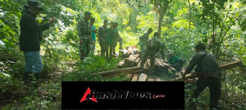 Tim Gabungan Tertibkan Kejahatan Kehutanan di Kawasan Bukit Sampar Bao Nangka