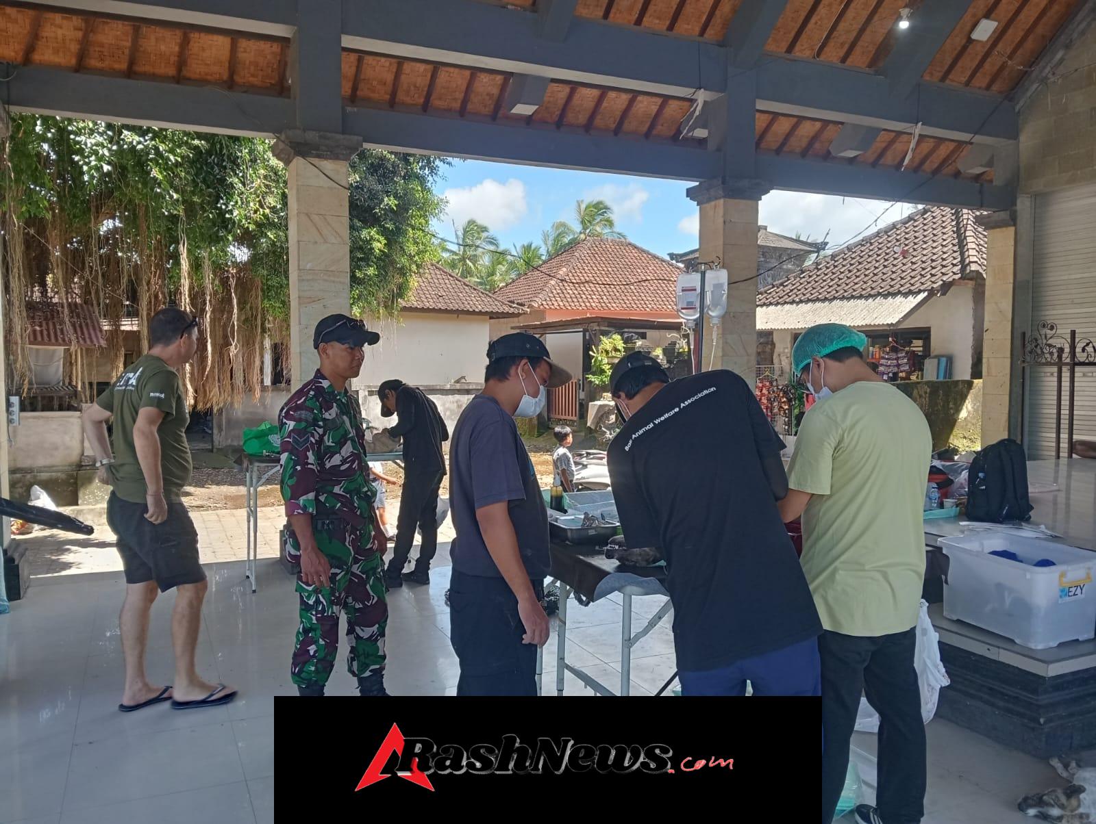 Babinsa Sakti Tegaskan, 26 Ekor Anjing Dan Kucing Tuntas Divaksinasi Di Desa Sakti