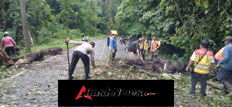 Aksi Cepat Babinsa Buka Akses Jalan Usai Pohon Tumbang di Desa Bayung Gede