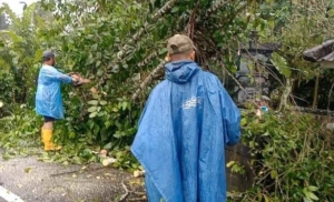 Babinsa Babahan Turun Langsung, Dampak Hujan Deras dan Angin Kencang Berhasil Diatasi Tanpa Korban