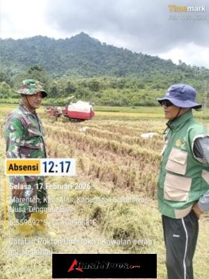 Serapan Gabah Poktan Berjalan Aman, Babinsa Pastikan Proses Transparan dan Tepat Sasaran