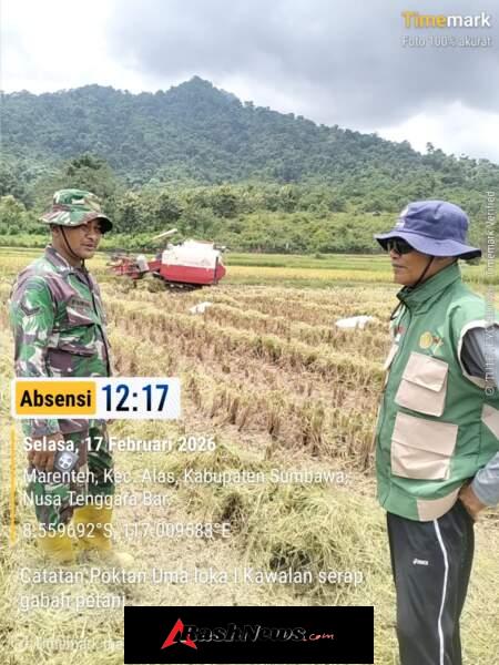 Serapan Gabah Poktan Berjalan Aman, Babinsa Pastikan Proses Transparan dan Tepat Sasaran