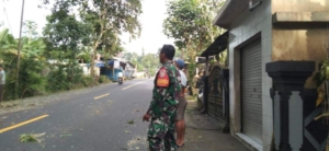 Babinsa 1623-02/Abang Dukung Kegiatan Pemangkasan Pohon untuk Kelancaran Arus Lalu Lintas