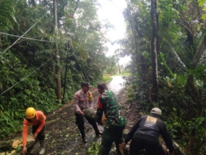 Babinsa Koramil 1623-06/Selat Amankan Akses Jalan Usai Pohon Tumbang di Kecamatan Selat