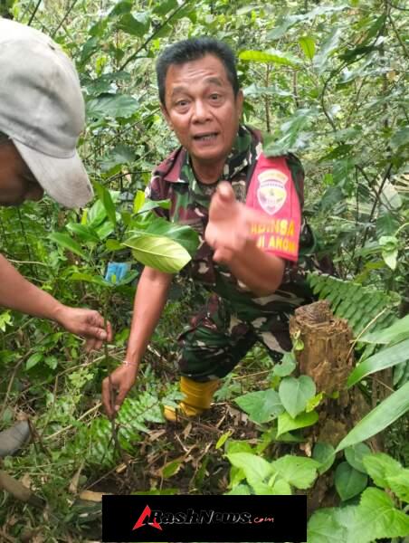Langkah Nyata Babinsa Panji Anom Jaga Kelestarian Kawasan Hutan