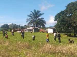Jelang Pembukaan TMMD Ke-127, Kodim 1603/Sikka Matangkan Persiapan Melalui Karya Bakti