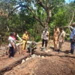 Tingkatkan Ekonomi Desa, BUMDes Gou Geta Bangun Usaha Peternakan Ayam