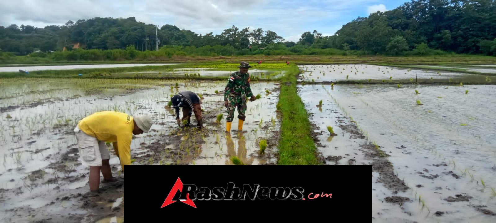 Babinsa Koramil 01/Lewa Dukung Ketahanan Pangan di Desa Tanarara