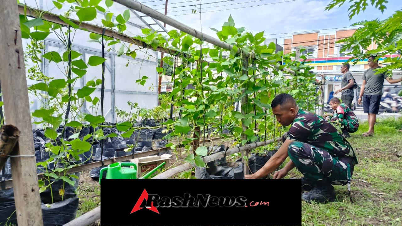 Sinergi TNI dan Masyarakat, Koramil 1615-11/Aikmel Aktif Bercocok Tanam Hortikultura