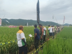 Babinsa Sapugara Bree Hadiri MSI Agrochemical Expo Dukung Petani Lokal