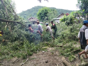 Babinsa Desa Tamekan Pimpin Gotong Royong Bersihkan Ranting Pohon