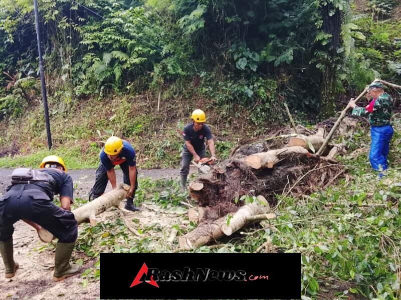 Babinsa 1623-06/Selat Sigap Amankan Akses Jalan Akibat Pohon Enau Tumbang di Dusun Meranggi