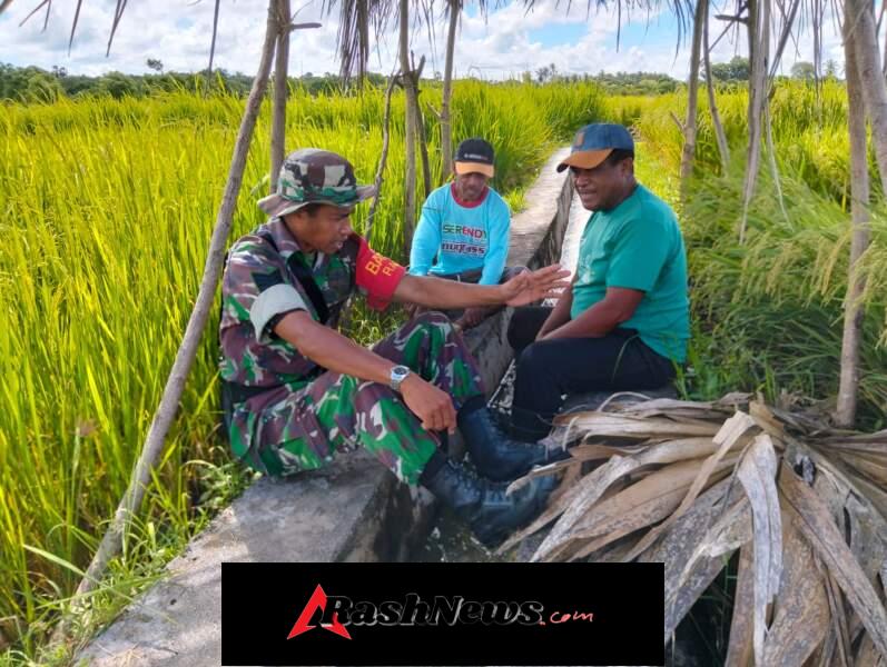 Babinsa Koramil 1627-03/Batutua Laksanakan Komsos Han Pangan Bersama Petani di Alas