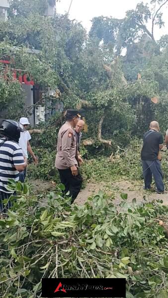 Pohon Beringin Raksasa Tumbang di Jalan Suweta Ubud, Timpa Bangunan dan Dua Unit Mobil