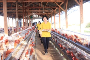 Dari Marshalling Area ke Togurambang, Yonif TP 834/WM Tunjukkan Hasil Nyata Program Tani-Ternak