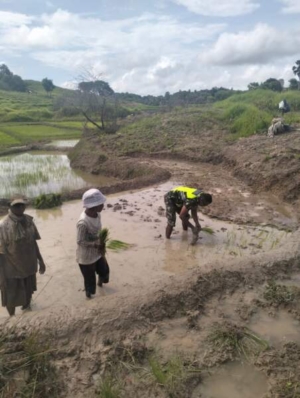 Babinsa dan Masyarakat Bersinergi Maju: Komsos dan Bantuan di Desa Oematamboli berjalan Lancar