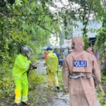 Respons Cepat Polsubsektor Lembongan Tangani Pohon Tumbang di Jungutbatu.