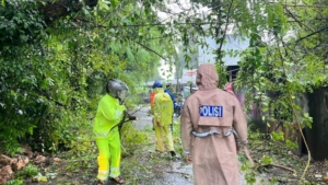 Respons Cepat Polsubsektor Lembongan Tangani Pohon Tumbang di Jungutbatu.