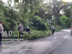 Respon Cepat Cuaca Ekstrem, Waka Polsek Bebandem Pimpin Evakuasi Pohon Tumbang di Jalur Sesana