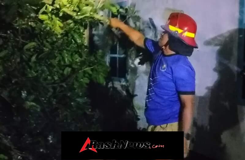 Sinergi TNI dan BPBD Tangani Pohon Tumbang