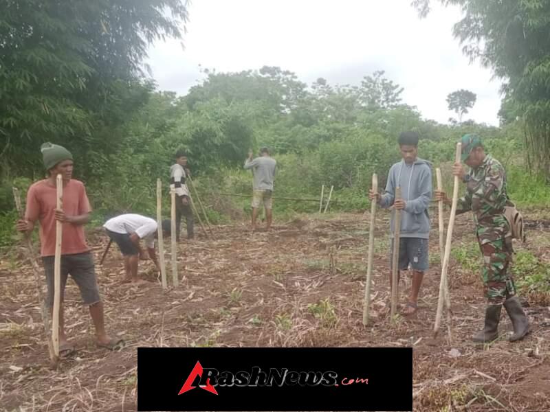 Melalui Komsos Hanpangan, Babinsa Perkuat Ketahanan Pangan Desa