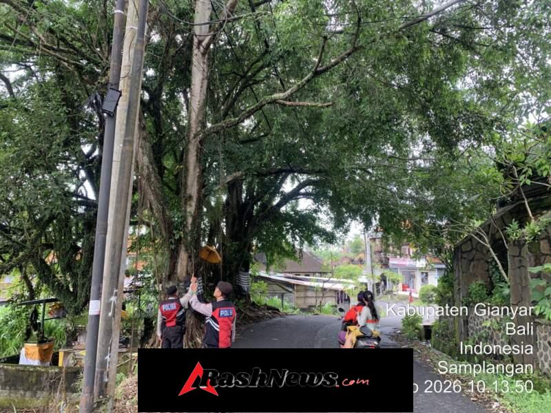 Patroli Kota Presisi Polres Gianyar Cek Daerah Rawan Pohon Tumbang dan Longsor