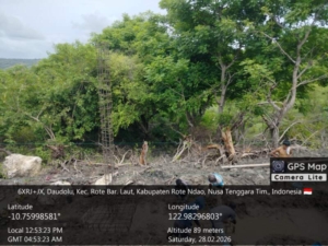 Pemantauan Pemasangan dan Perakitan Tiang Cakar Ayam di Desa Tualima Berjalan Lancar