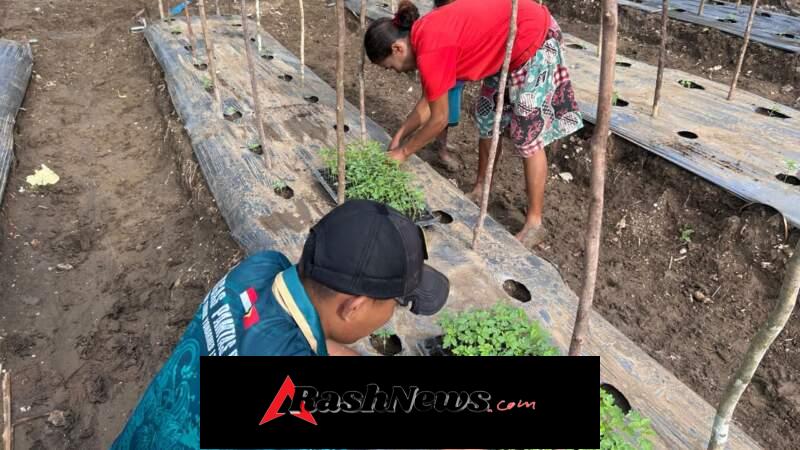 Yonarmed 12 Kostrad Wujudkan Kebersamaan Lewat Pertanian Perbatasan